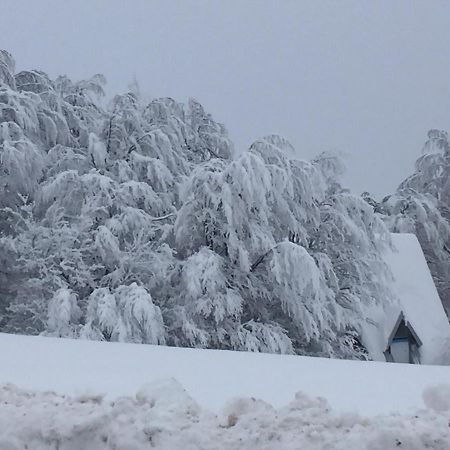 라스카 Golija Vikendica Cesta Vrela 빌라 외부 사진