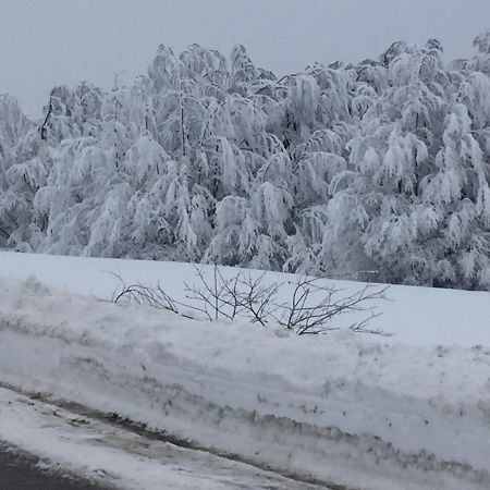 라스카 Golija Vikendica Cesta Vrela 빌라 외부 사진