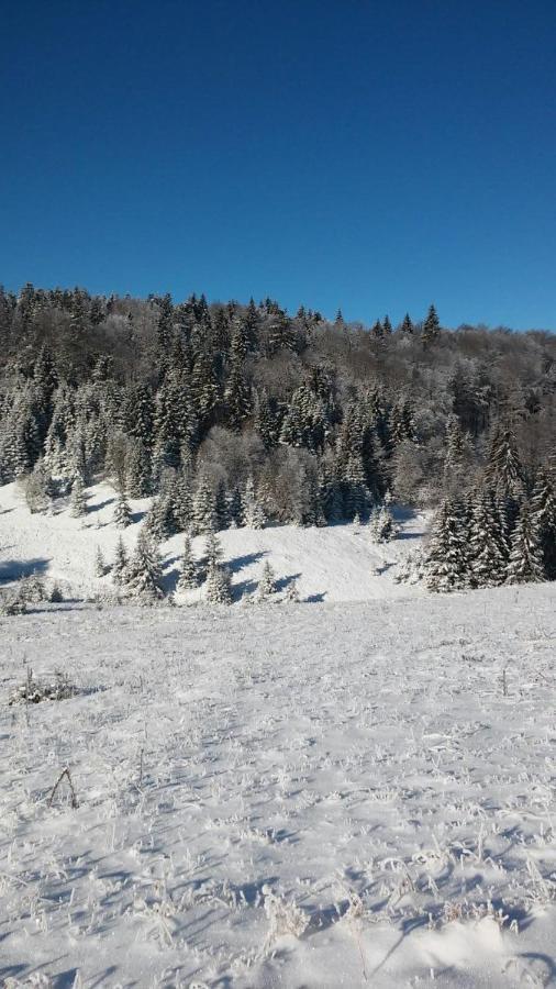 라스카 Golija Vikendica Cesta Vrela 빌라 외부 사진