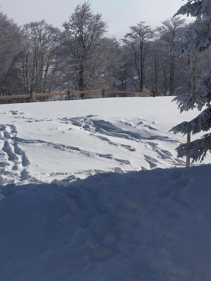 라스카 Golija Vikendica Cesta Vrela 빌라 외부 사진